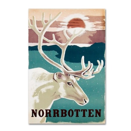 Vintage Apple Collection 'Norbotten' Canvas Art,16x24
